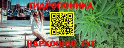 наркотики Гай
