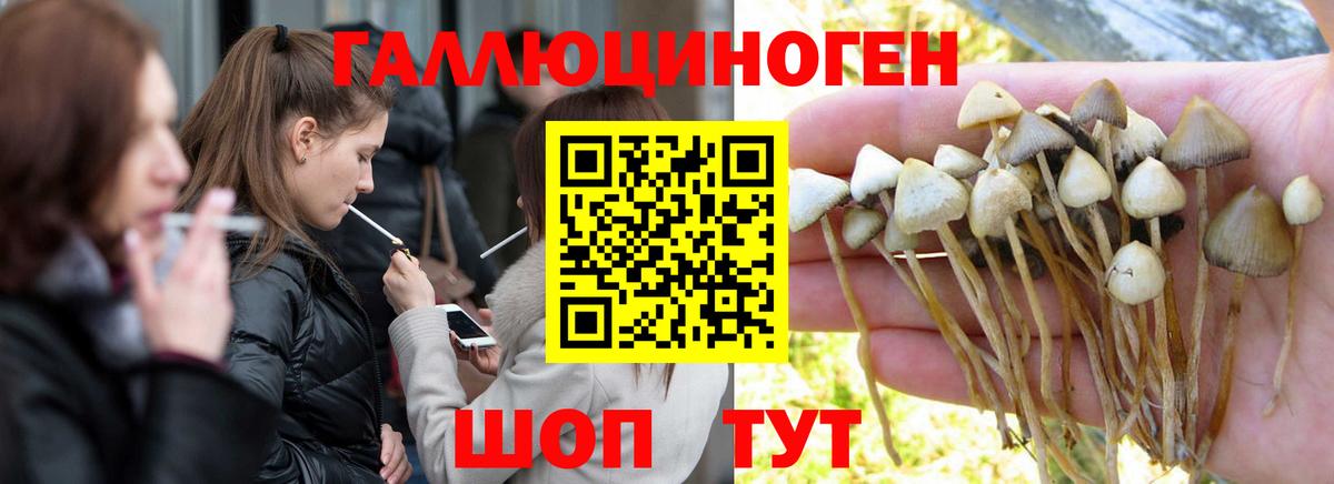 Псилоцибиновые грибы мицелий  Вход с VPN  Нижний Тагил 